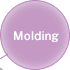 Molding